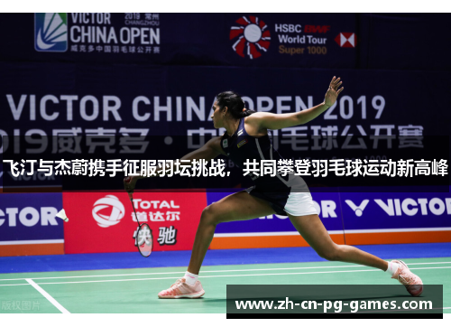 飞汀与杰蔚携手征服羽坛挑战，共同攀登羽毛球运动新高峰